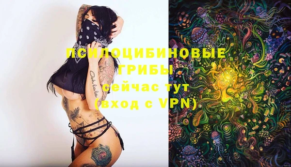 дмт Алзамай