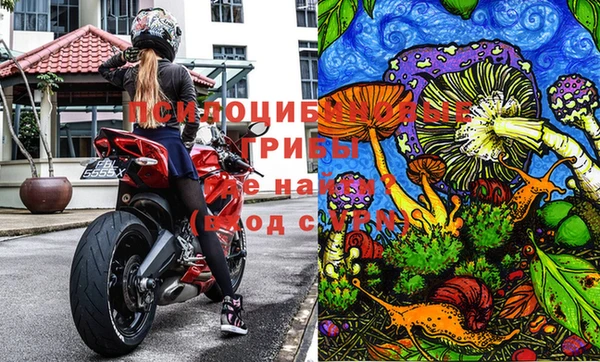 прущие грибы Алексин
