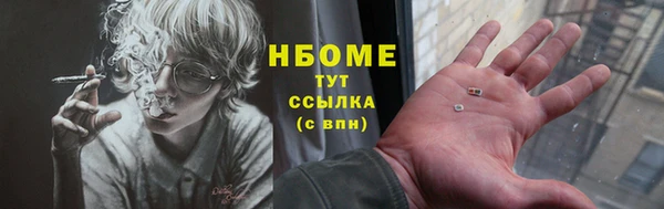шишки Карпинск