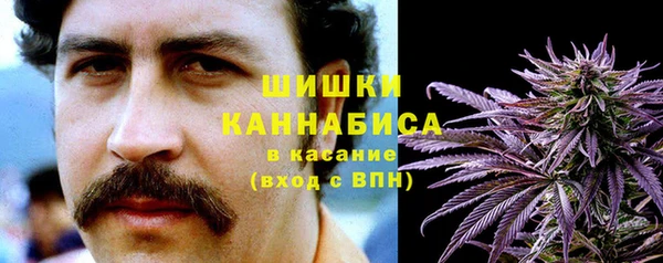 прущие грибы Алексин