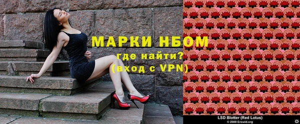 дмт Алзамай