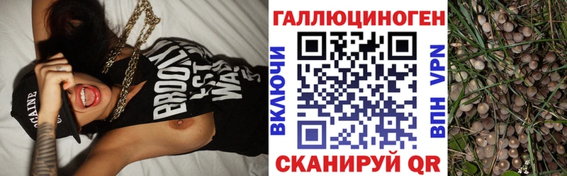 Псилоцибиновые грибы мухоморы Камышин