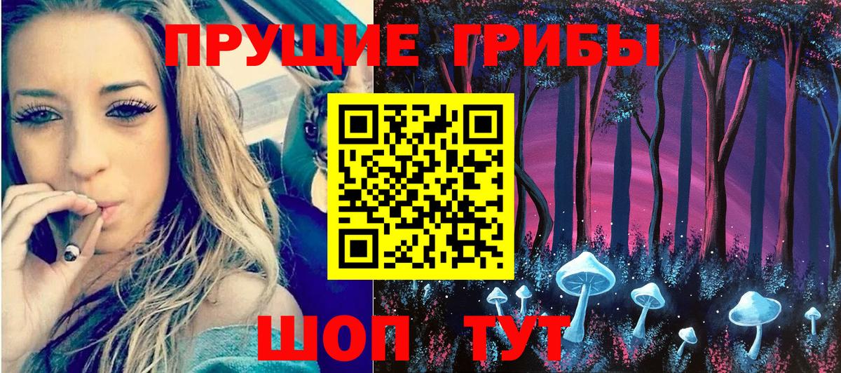 Псилоцибиновые грибы Cubensis  Вход с VPN  Камышин 