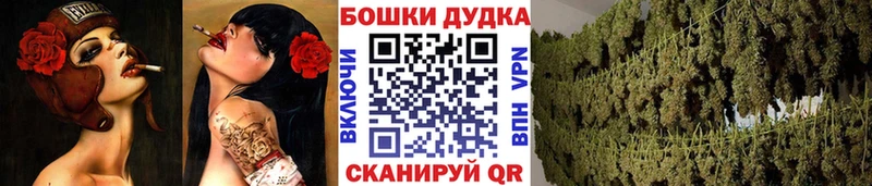 дарнет шоп Камышин Бошки марихуана гибрид